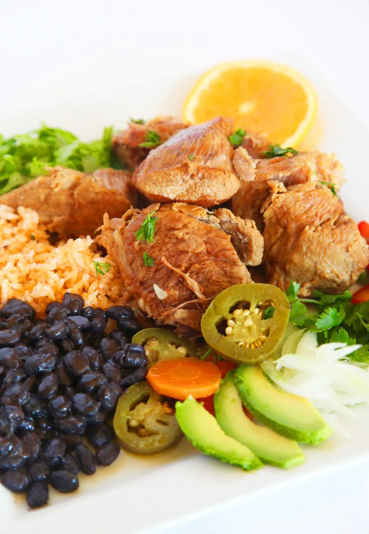 Carnitas with rice, black beans, avocado, and pickled vegetables